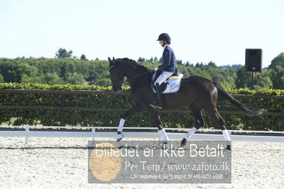 Blue Hors Dressur championat 2018
4 års klassen
Nøgleord: mette rasmussen;fashienne kilen