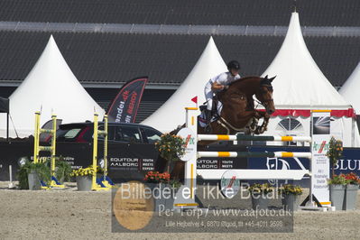 Csio3 two phsaes   140cm
Showjumping
Nøgleord: pernille tribler;alfina 3