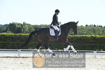 Blue Hors Dressur championat 2018
4 års klassen
Nøgleord: mikael kettelsen;gucci tm