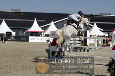 csio3 a1 150cm
Showjumping
Nøgleord: juulia jyläs;courage t z