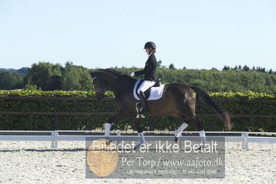 Blue Hors Dressur championat 2018
4 års klassen
Nøgleord: brandtbjergs etoile;ida hoffman-bang