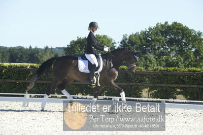 Blue Hors Dressur championat 2018
4 års klassen
Nøgleord: brandtbjergs etoile;ida hoffman-bang