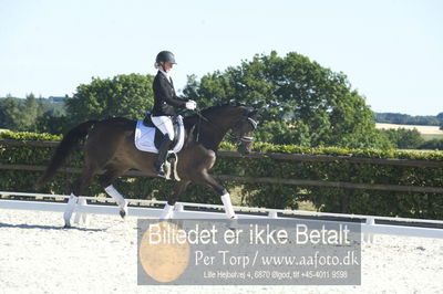 Blue Hors Dressur championat 2018
4 års klassen
Nøgleord: brandtbjergs etoile;ida hoffman-bang