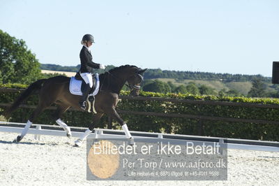 Blue Hors Dressur championat 2018
4 års klassen
Nøgleord: brandtbjergs etoile;ida hoffman-bang