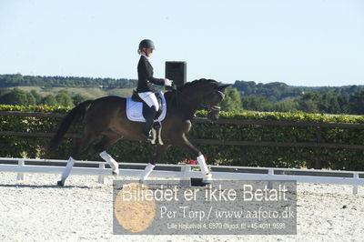 Blue Hors Dressur championat 2018
4 års klassen
Nøgleord: brandtbjergs etoile;ida hoffman-bang