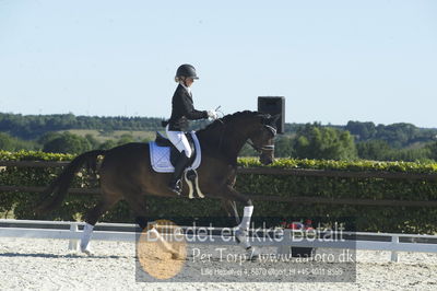Blue Hors Dressur championat 2018
4 års klassen
Nøgleord: brandtbjergs etoile;ida hoffman-bang