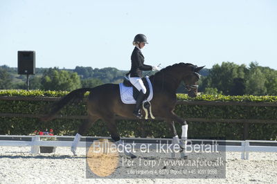 Blue Hors Dressur championat 2018
4 års klassen
Nøgleord: brandtbjergs etoile;ida hoffman-bang