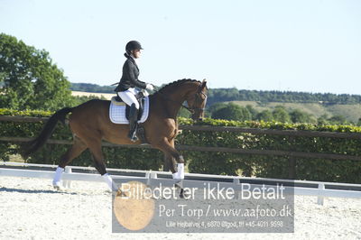 Blue Hors Dressur championat 2018
4 års klassen
Nøgleord: vehlgaards zelfie;susanne dam