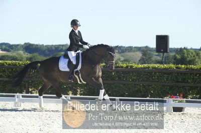 Blue Hors Dressur championat 2018
4 års klassen
Nøgleord: brandtbjergs etoile;ida hoffman-bang