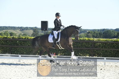 Blue Hors Dressur championat 2018
4 års klassen
Nøgleord: brandtbjergs etoile;ida hoffman-bang