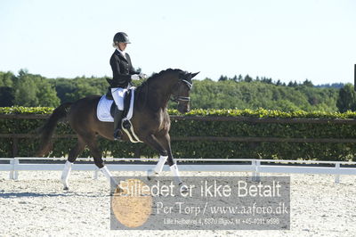 Blue Hors Dressur championat 2018
4 års klassen
Nøgleord: brandtbjergs etoile;ida hoffman-bang