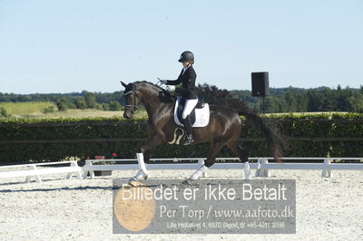 Blue Hors Dressur championat 2018
4 års klassen
Nøgleord: brandtbjergs etoile;ida hoffman-bang