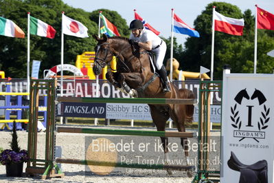 csio3 a1 150cm
Showjumping
Nøgleord: søren møller rohde;todt un prince ask