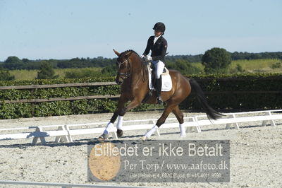 Blue Hors Dressur championat 2018
4 års klassen
Nøgleord: vehlgaards zelfie;susanne dam