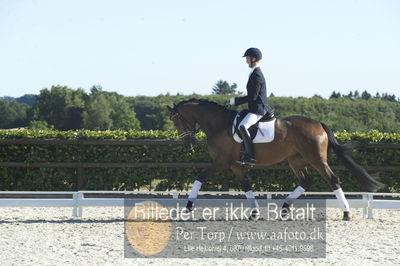 Blue Hors Dressur championat 2018
4 års klassen
Nøgleord: dennis kjær;aarø's lotte