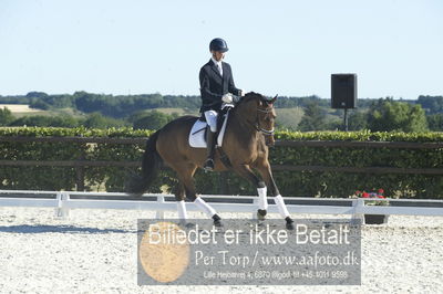 Blue Hors Dressur championat 2018
4 års klassen
Nøgleord: dennis kjær;aarø's lotte