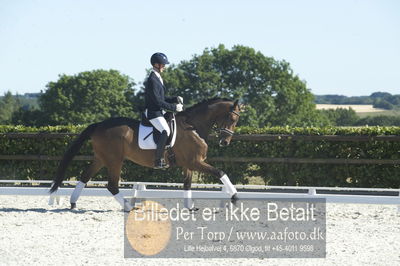 Blue Hors Dressur championat 2018
4 års klassen
Nøgleord: dennis kjær;aarø's lotte