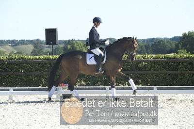 Blue Hors Dressur championat 2018
4 års klassen
Nøgleord: dennis kjær;aarø's lotte