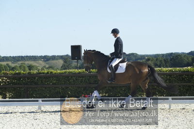 Blue Hors Dressur championat 2018
4 års klassen
Nøgleord: dennis kjær;aarø's lotte