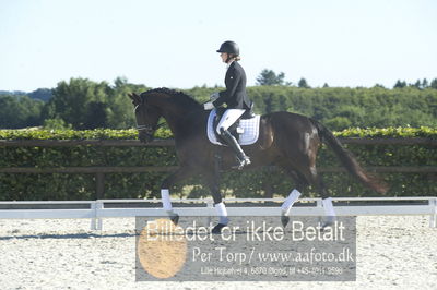 Blue Hors Dressur championat 2018
4 års klassen
Nøgleord: marianne toth;zack zerre