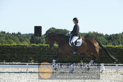 Blue Hors Dressur championat 2018
4 års klassen
Nøgleord: uno equador;susanne barnow