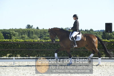 Blue Hors Dressur championat 2018
4 års klassen
Nøgleord: uno equador;susanne barnow