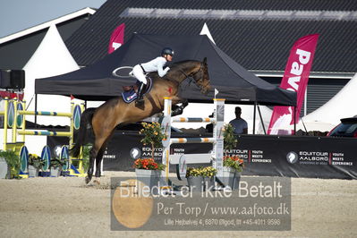 csio3 a1 150cm
Showjumping
Nøgleord: julie andrews;wilando b;styrt