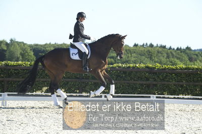 Blue Hors Dressur championat 2018
4 års klassen
Nøgleord: uno equador;susanne barnow