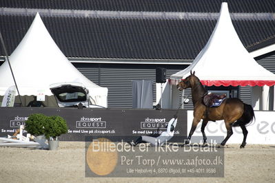 csio3 a1 150cm
Showjumping
Nøgleord: julie andrews;wilando b;styrt