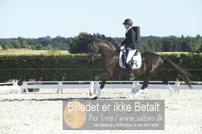 Blue Hors Dressur championat 2018
4 års klassen
Nøgleord: marianne toth;zack zerre