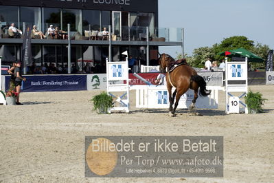 csio3 a1 150cm
Showjumping
Nøgleord: poul delforge;uschka du tassier;styrt