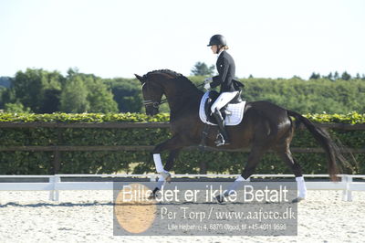 Blue Hors Dressur championat 2018
4 års klassen
Nøgleord: marianne toth;zack zerre