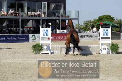 csio3 a1 150cm
Showjumping
Nøgleord: poul delforge;uschka du tassier;styrt