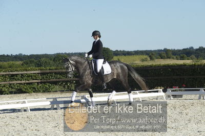 Blue Hors Dressur championat 2018
4 års klassen
Nøgleord: bh65-2018;sirikit fuglsang;anne schmidt bigum