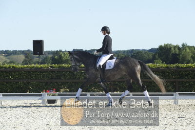 Blue Hors Dressur championat 2018
4 års klassen
Nøgleord: bh65-2018;sirikit fuglsang;anne schmidt bigum