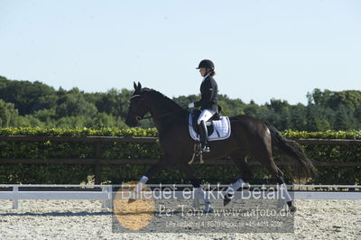 Blue Hors Dressur championat 2018
4 års klassen
Nøgleord: soldier hit;line marianne bech meier