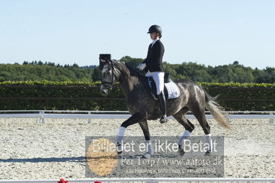 Blue Hors Dressur championat 2018
4 års klassen
Nøgleord: bh65-2018;sirikit fuglsang;anne schmidt bigum