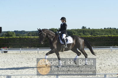 Blue Hors Dressur championat 2018
4 års klassen
Nøgleord: line marianne bech meier;soldier hit