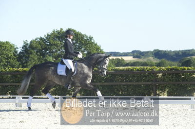 Blue Hors Dressur championat 2018
4 års klassen
Nøgleord: bh65-2018;sirikit fuglsang;anne schmidt bigum