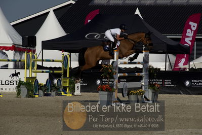 csio3 a1 150cm
Showjumping
Nøgleord: francesca ciriesi;little lord
