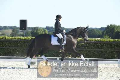 Blue Hors Dressur championat 2018
4 års klassen
Nøgleord: line marianne bech meier;soldier hit