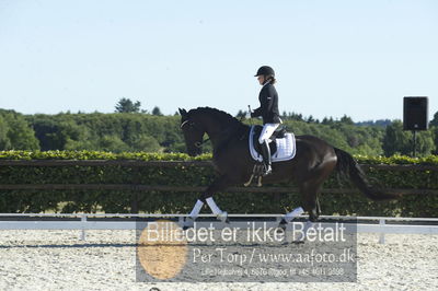 Blue Hors Dressur championat 2018
4 års klassen
Nøgleord: line marianne bech meier;soldier hit