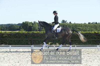 Blue Hors Dressur championat 2018
4 års klassen
Nøgleord: bh65-2018;sirikit fuglsang;anne schmidt bigum