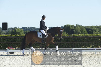 Blue Hors Dressur championat 2018
4 års klassen
Nøgleord: højgaardens zaggiline