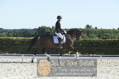 Blue Hors Dressur championat 2018
4 års klassen
Nøgleord: don corleone;marcos lukas w larsen