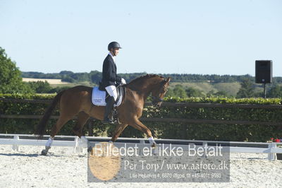 Blue Hors Dressur championat 2018
4 års klassen
Nøgleord: elversøes hero;gustav meinertz