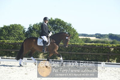 Blue Hors Dressur championat 2018
4 års klassen
