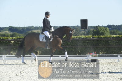 Blue Hors Dressur championat 2018
4 års klassen
Nøgleord: højgaardens zaggiline