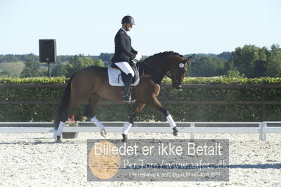 Blue Hors Dressur championat 2018
4 års klassen
Nøgleord: højgaardens zaggiline