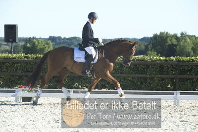 Blue Hors Dressur championat 2018
4 års klassen
Nøgleord: elversøes hero;gustav meinertz